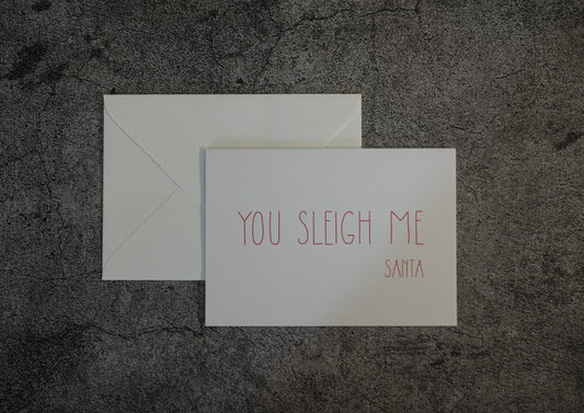 You Sleigh Me - Santa