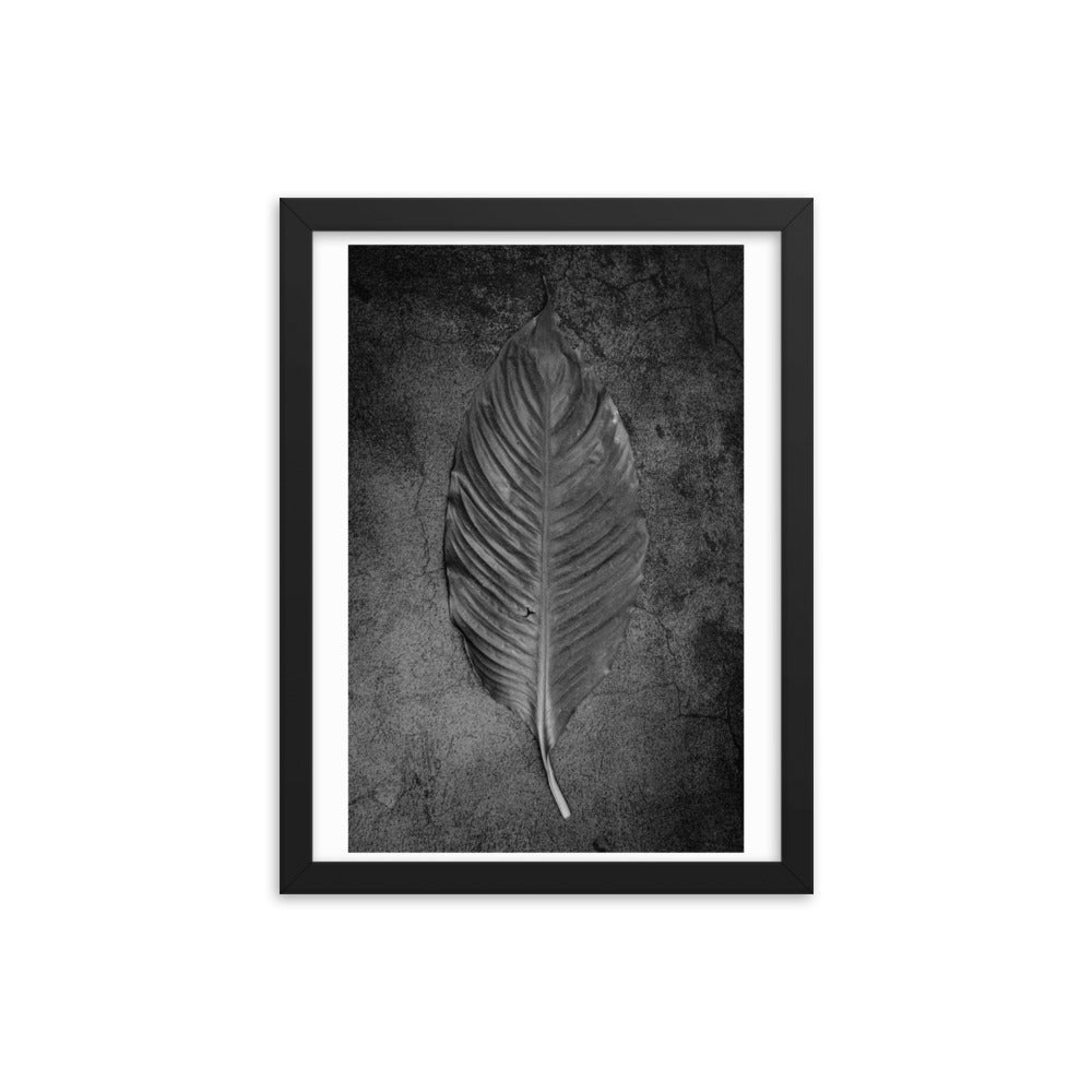 Nature Fine Art Black and White Framed Poster Print