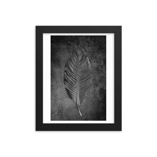 Nature Fine Art Black and White Framed Poster Print