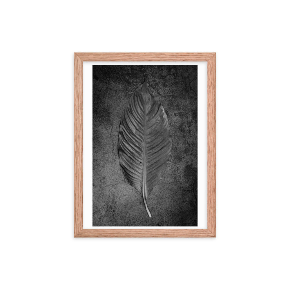 Nature Fine Art Black and White Framed Poster Print