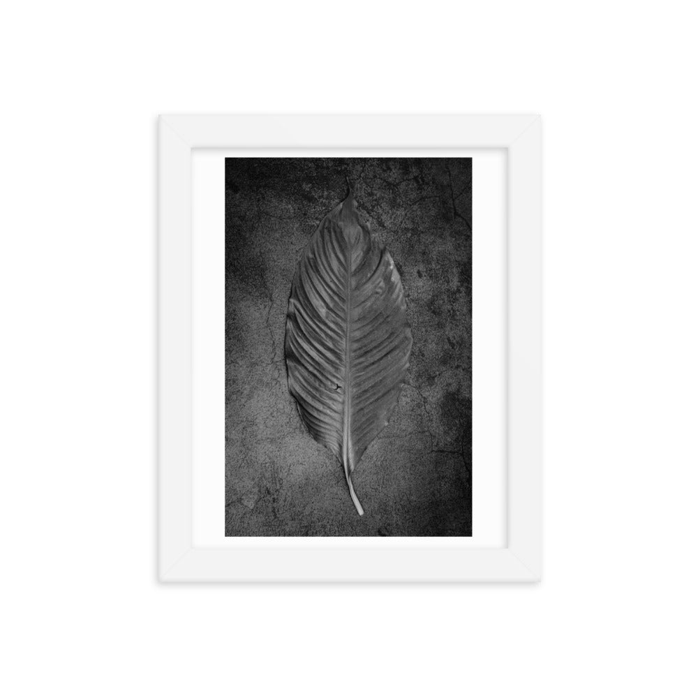 Nature Fine Art Black and White Framed Poster Print